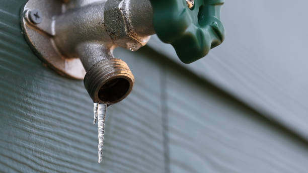 Best Plumbing Inspection Services  in Dunsmuir, CA